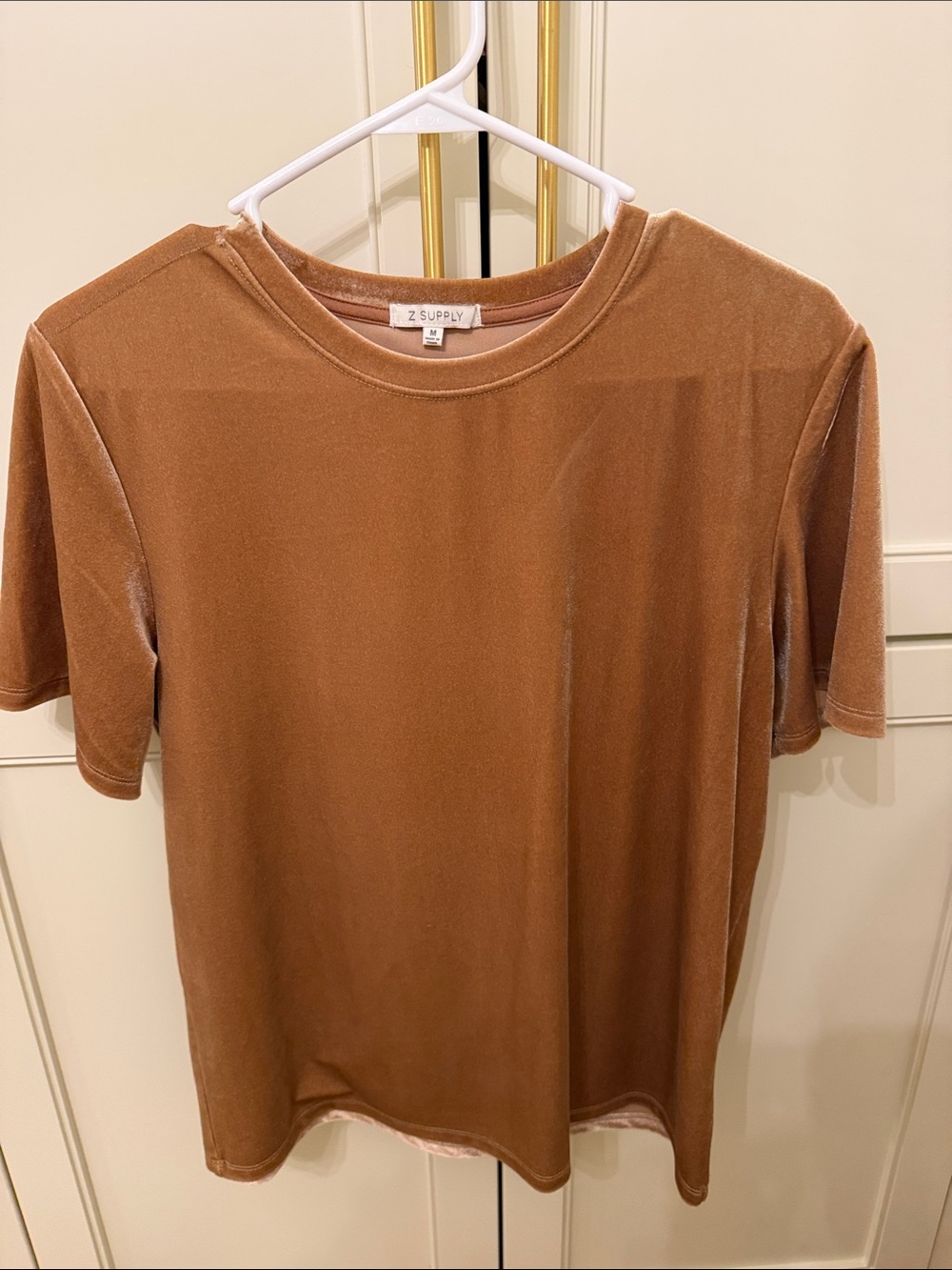Z Supply  Short Sleeve Velvet Tee in Warm Tan
